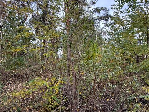 ділянка за адресою Ірпінь, Авіаконструктора Антонова вул., 19