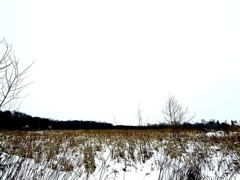 участок по адресу Івана Франка