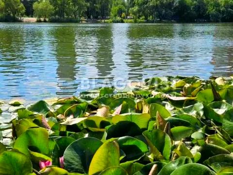 квартира за адресою Юрія Шумського вул., 1