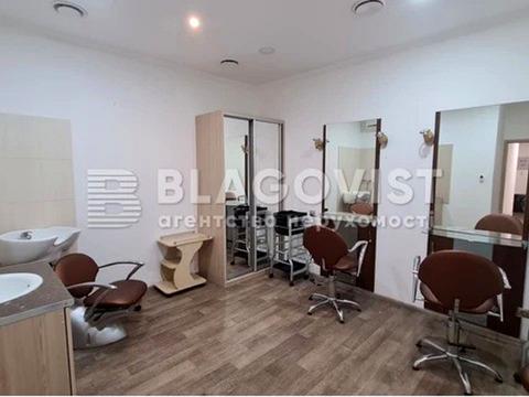 комерційна за адресою Євгена Чикаленка вул. (Пушкінська), 12