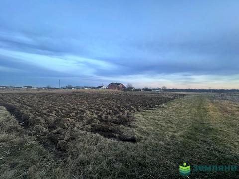 ділянка за адресою с. Підлісся, 