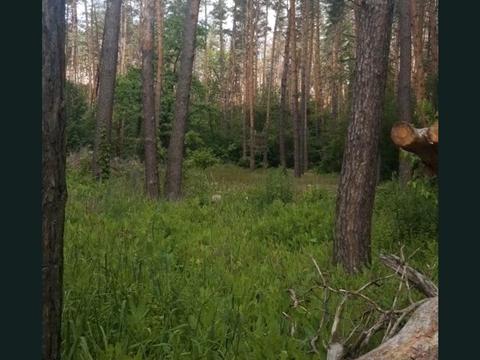 коммерческая по адресу Северная ул., 22