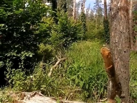 коммерческая по адресу Северная ул., 22