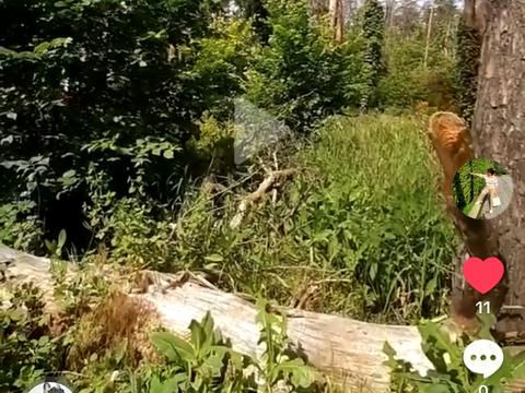 коммерческая по адресу Северная ул., 22