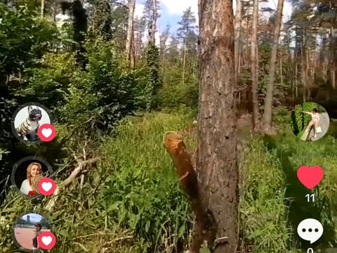 коммерческая по адресу Северная ул., 22