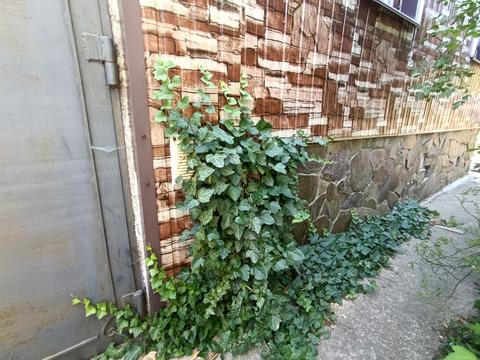 будинок за адресою с. Санжійка, Перемоги