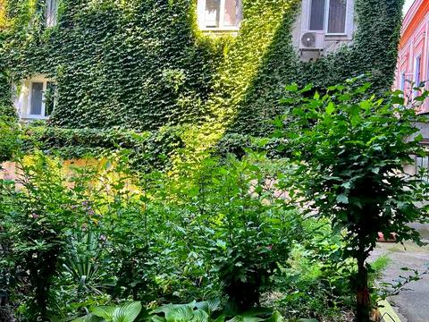 квартира за адресою Італійська вул. (Пушкінська), 29