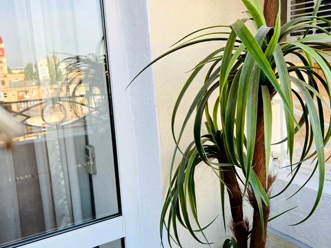 квартира за адресою Італійська вул. (Пушкінська), 29