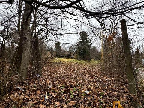 ділянка за адресою Червона