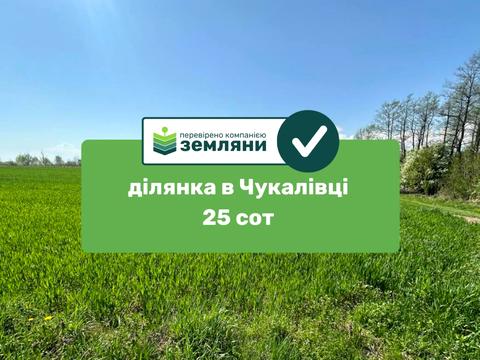 участок по адресу Петлюри