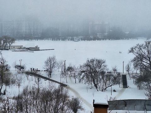 квартира по адресу Южный бульв., 36