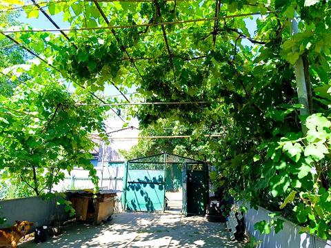 будинок за адресою Виноградна