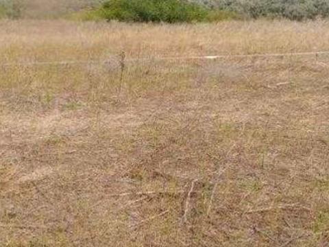 ділянка за адресою смт. Великодолинське, Кленова