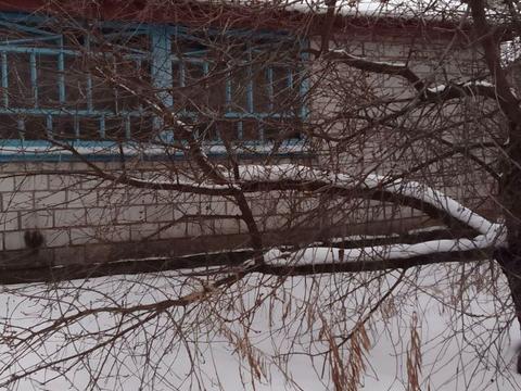 дом по адресу щорса