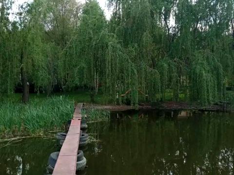 дом по адресу Набережна 1-а