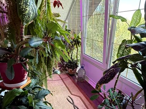 дом по адресу Набережна 1-а