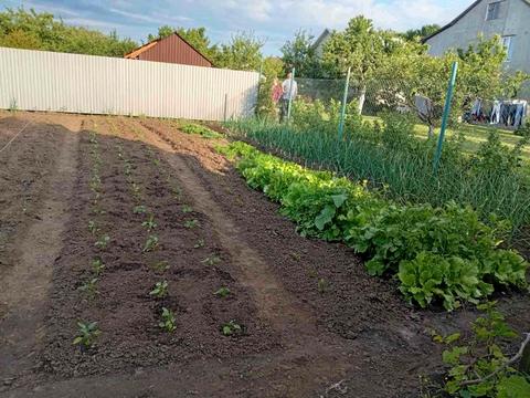 будинок за адресою  Прошова, Весняна