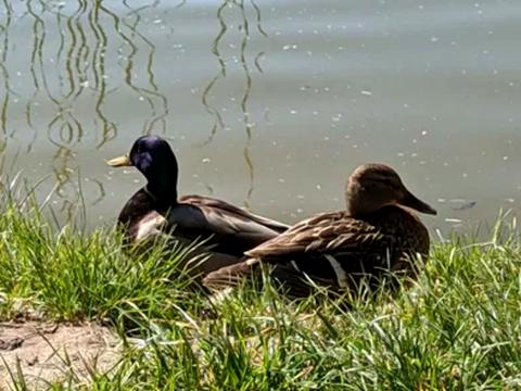 квартира за адресою Науки просп., 54-Б