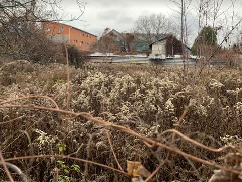 ділянка за адресою Синьоозерна вул.