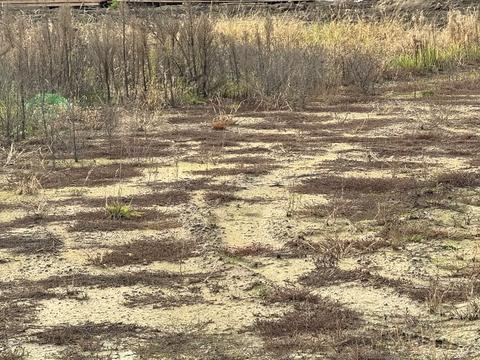 ділянка за адресою Національної Гвардії вул. (Гвардійська)