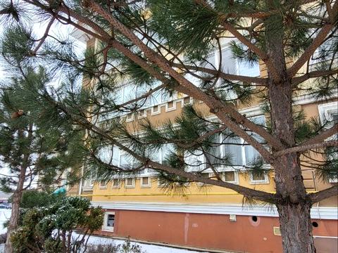 квартира по адресу Пригородная ул., 1