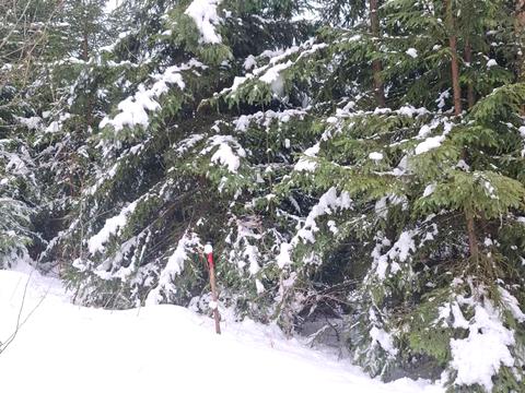 участок по адресу 