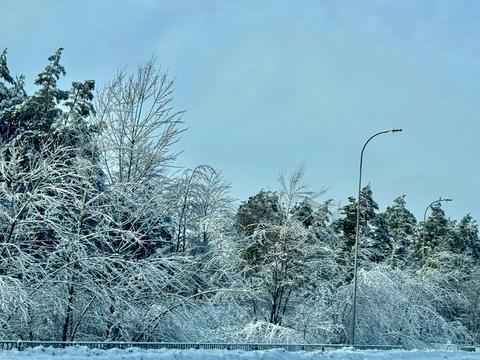 ділянка за адресою с. Пилиповичі, 
