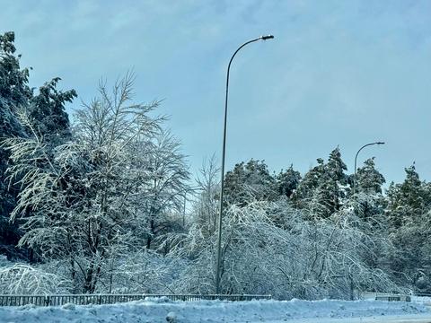 ділянка за адресою с. Пилиповичі, 