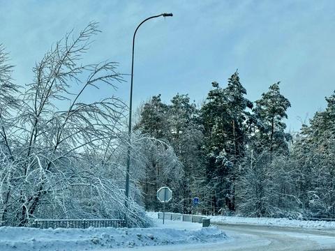 ділянка за адресою с. Пилиповичі, 