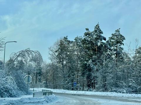 ділянка за адресою с. Пилиповичі, 