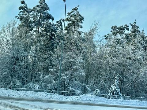 ділянка за адресою с. Пилиповичі, 