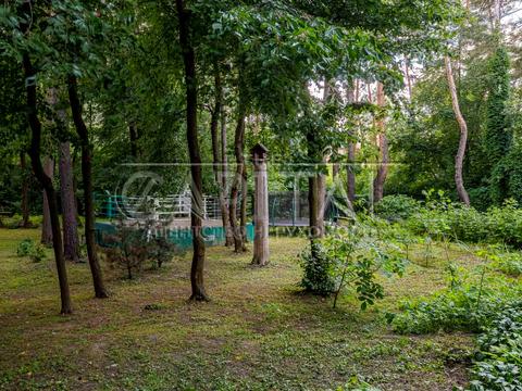 будинок за адресою Вишгород, фруктова