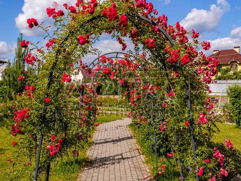 будинок за адресою Вишгород, фруктова