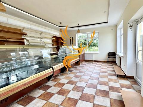 комерційна за адресою Володимира Великого вул., 2