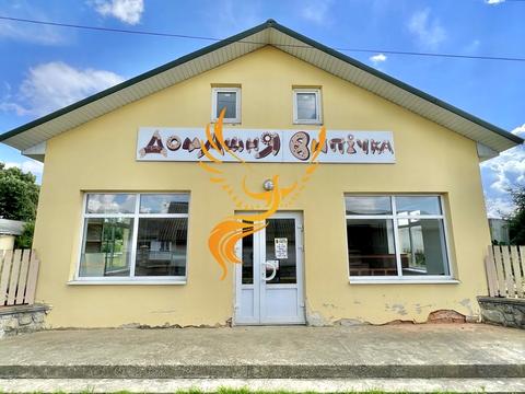 комерційна за адресою Володимира Великого вул., 2