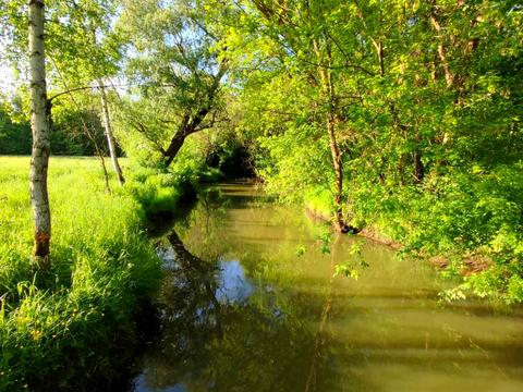 будинок за адресою Лісна