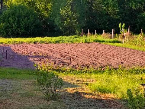будинок за адресою Лісна