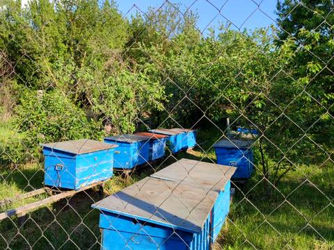 будинок за адресою Лісна