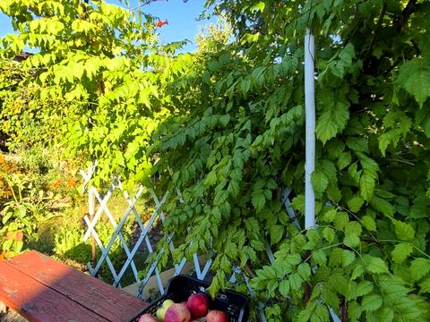 будинок за адресою Бузкова