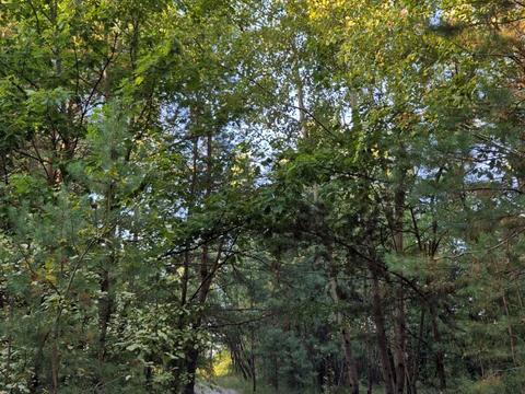 будинок за адресою Бузкова