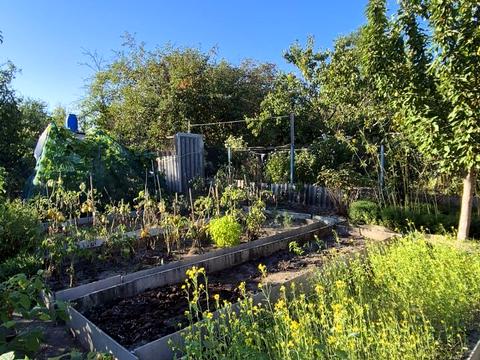 будинок за адресою Бузкова