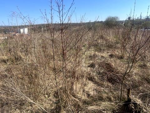 участок по адресу 