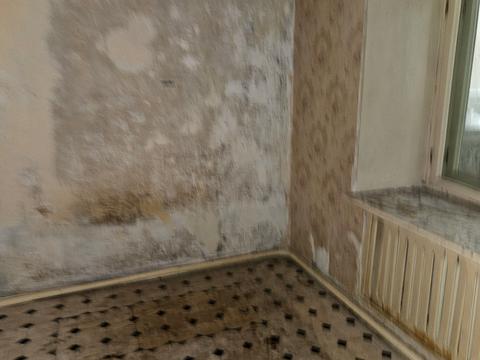 квартира за адресою Велика Арнаутська вул., 73