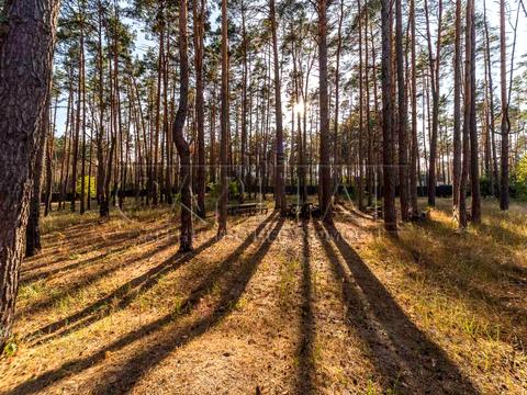 будинок за адресою Шевченка вул.