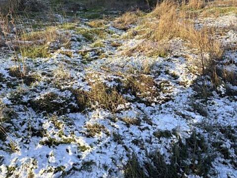 ділянка за адресою с-ще. Ліски, Ліненко