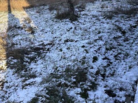 ділянка за адресою с-ще. Ліски, Ліненко