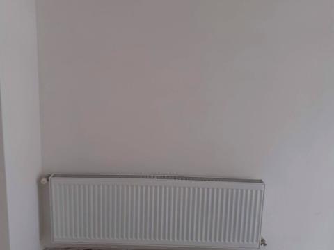 будинок за адресою с. Широка Гребля, Центральна, 65