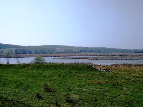 будинок за адресою с. Широка Гребля, Центральна, 65