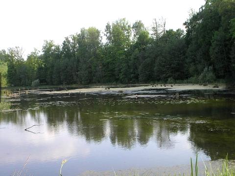 будинок за адресою с. Широка Гребля, Центральна, 65