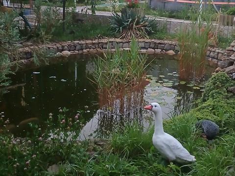 дом по адресу Матвеевка